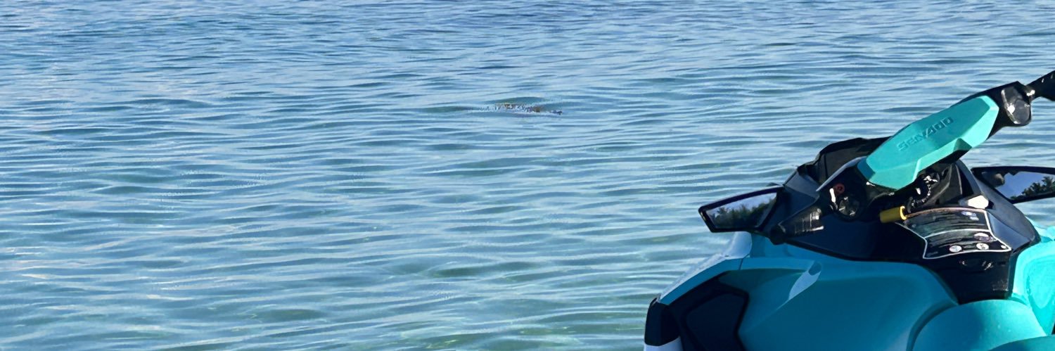 🐶 banner