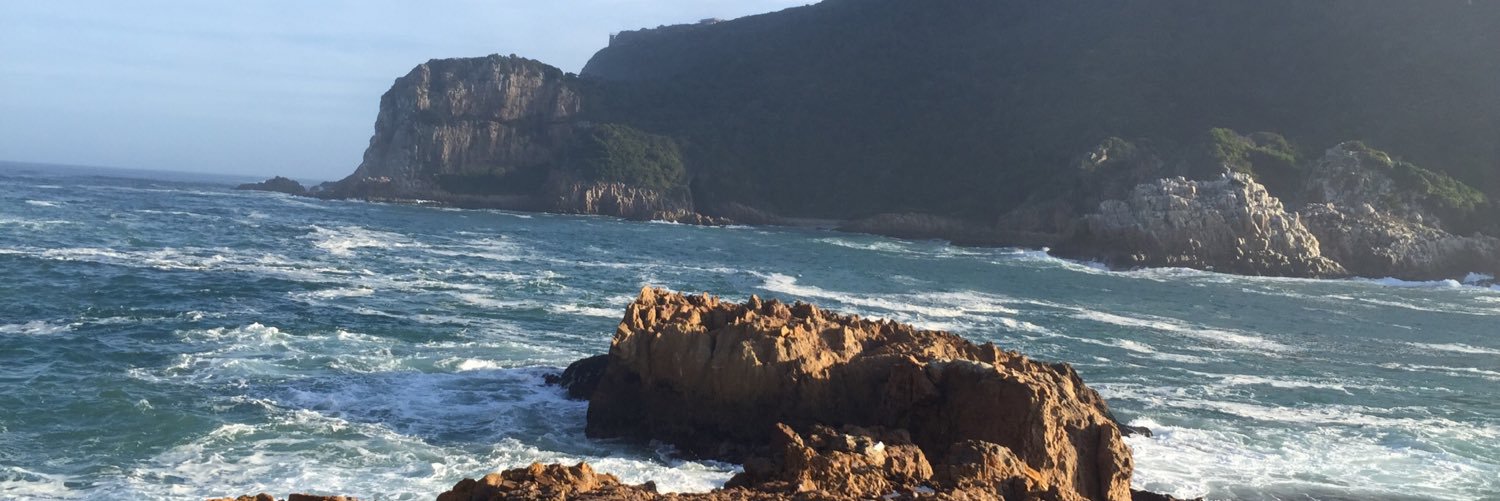 BushmanJenny's profile banner image