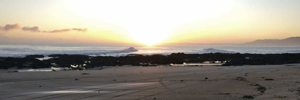 Nathaniel Calhoun banner