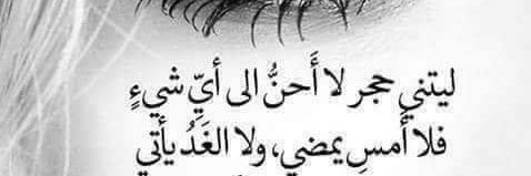 wafi tabbal banner