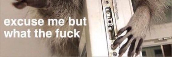 JayOfTheJayStan's profile banner image