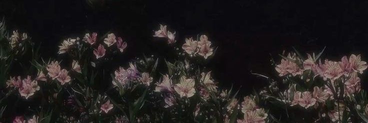 SA63lMA's profile banner image