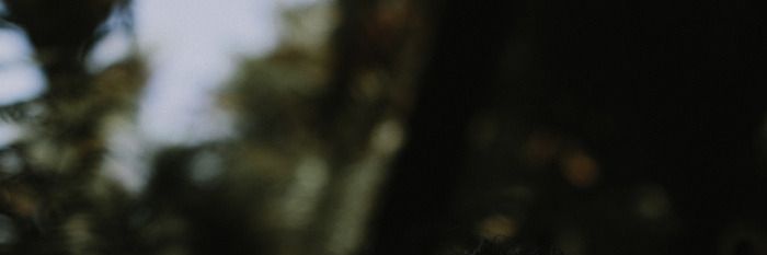 absclusive's profile banner image