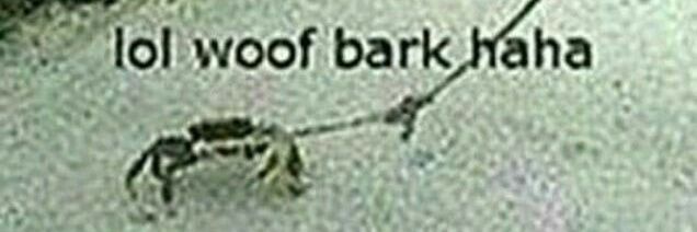 Berry ₊˚⊹ᰔ banner