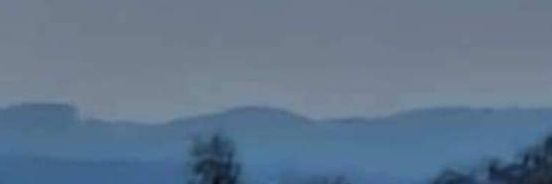 🌧️🌬️WarksMidsWx (Foxy)🌬️🌧️🇬🇧 banner