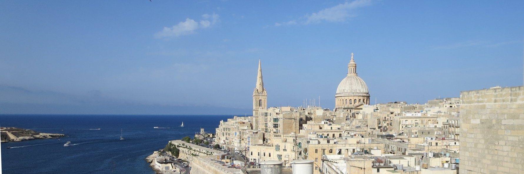 Michael Leedom banner