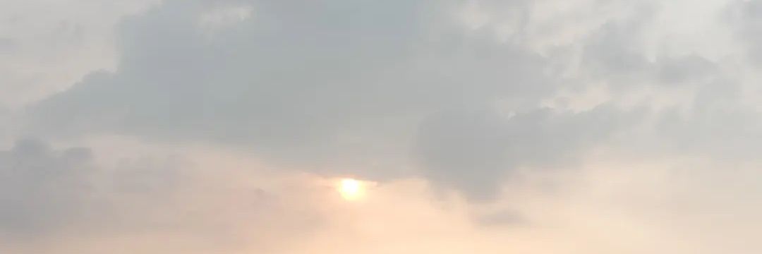 c. banner