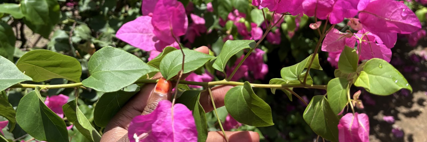 𝑀 𝑀シ︎ banner