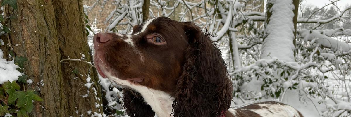 JimSurname's profile banner image