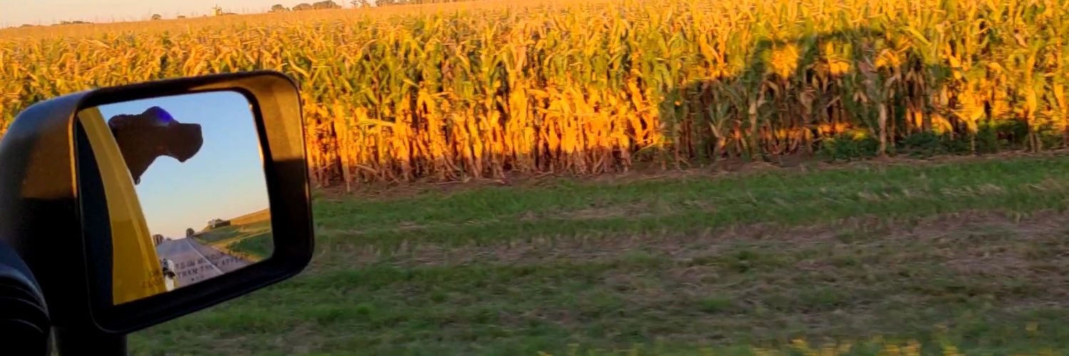ZwithR's profile banner image