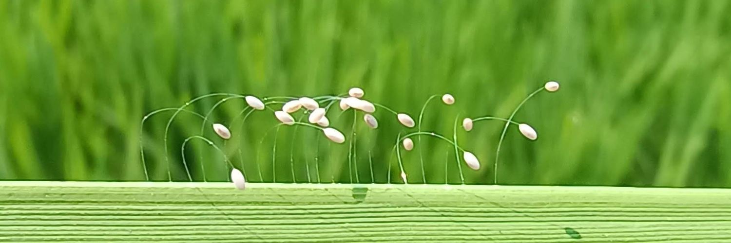 Rupam Debnath banner