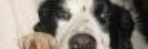 derekfowler10's profile banner image