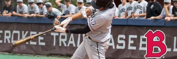 Anthony Mitchell banner