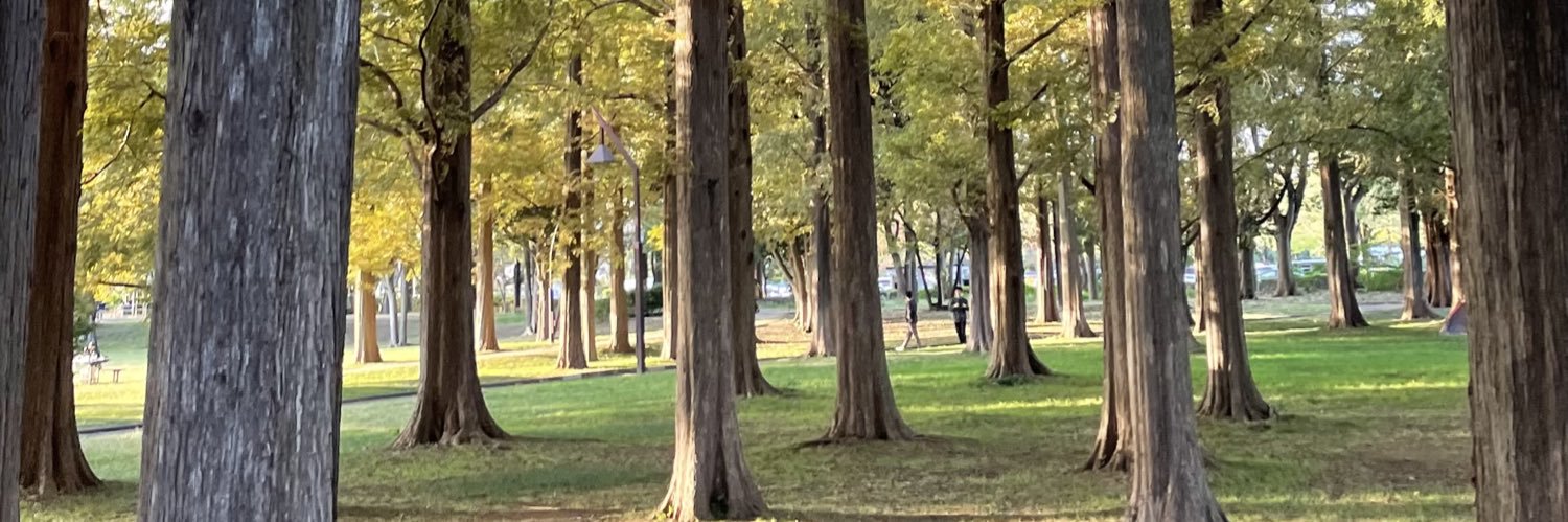 あきﾁｬﾝ🍂 banner