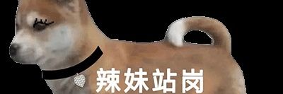 芝士大王 banner
