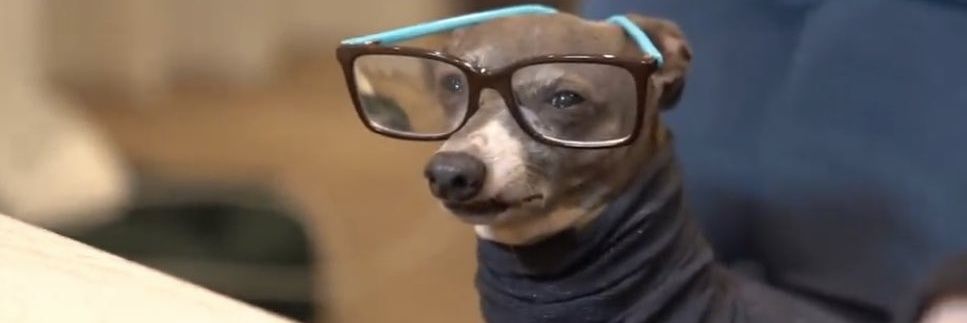 _Ryndingo_'s profile banner image