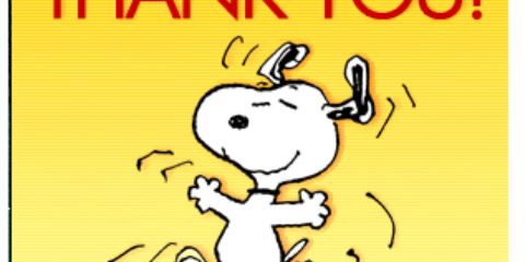 chispabrillante's profile banner image