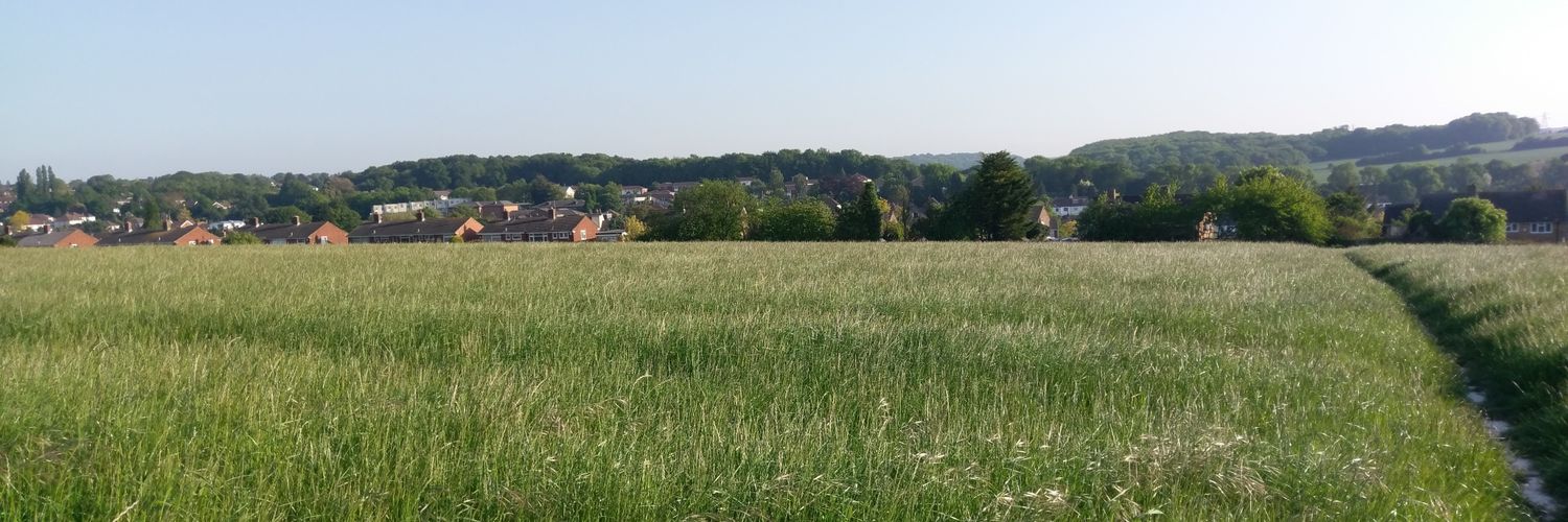 Longfield, Kent banner