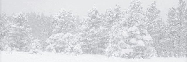 ❄︎'s banner