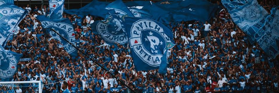 stagdocec's profile banner image