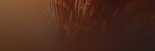 WRLDwins Profile Banner