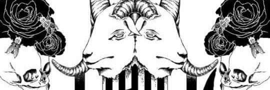 qq_stiffy's profile banner image