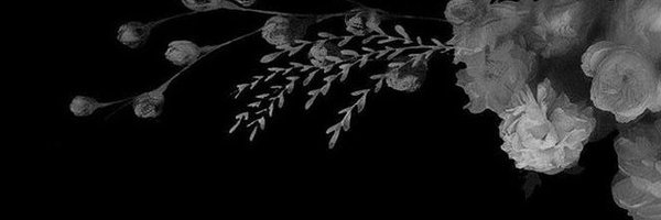 ApxtheticBliss Profile Banner