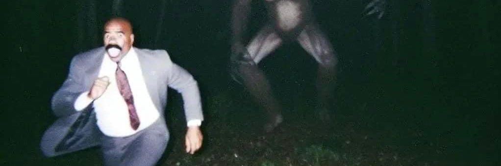 Stacey Harkey banner