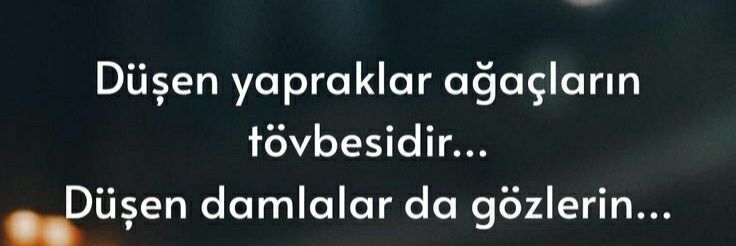MÜNADİ's banner