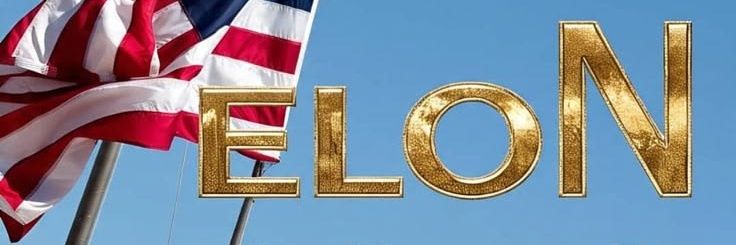 Mr Elon Musk banner