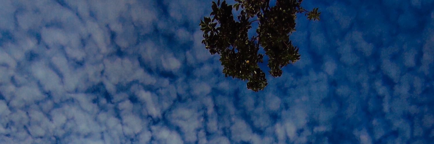 iFTHiBUS's profile banner image