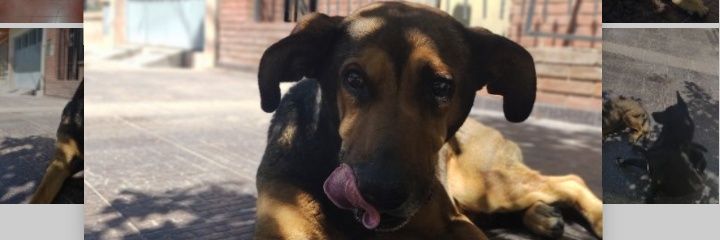 Javiteen's profile banner image