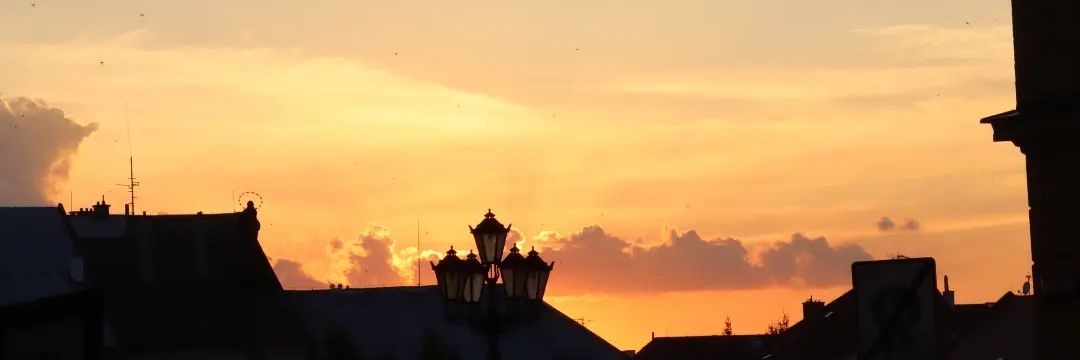 WSnoeijen's profile banner image