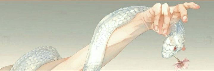 Aninhaawn's profile banner image