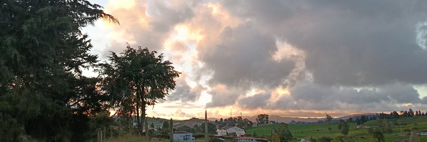 Softtt___'s profile banner image
