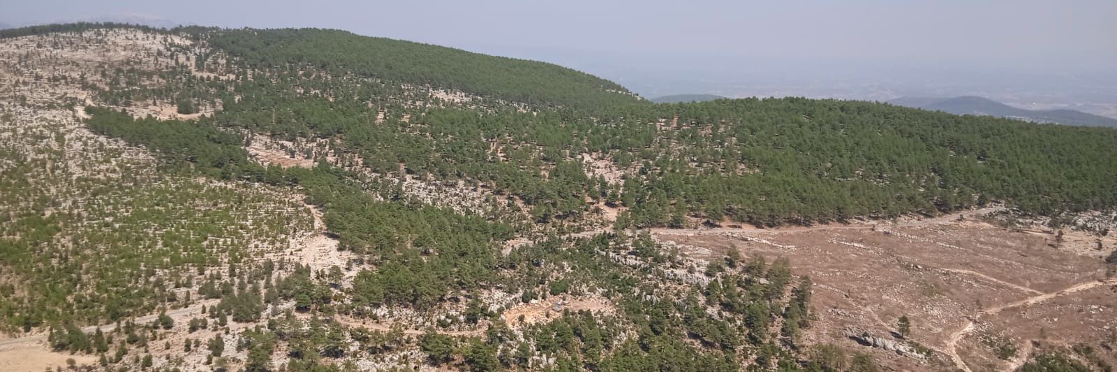 velicanim's profile banner image