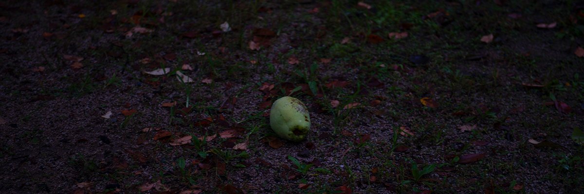 fromganges's profile banner image