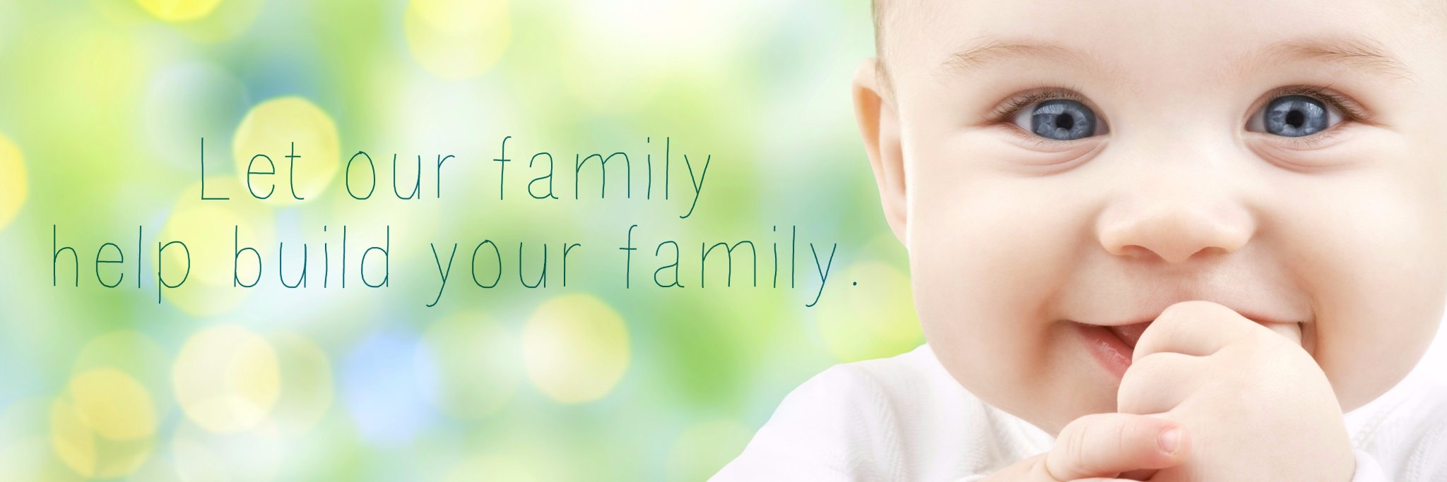 SJ Fertility banner