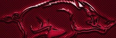Fink 🐗 banner