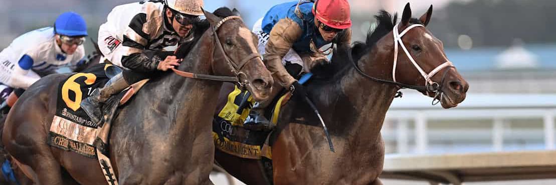 skid 👑🏇 banner