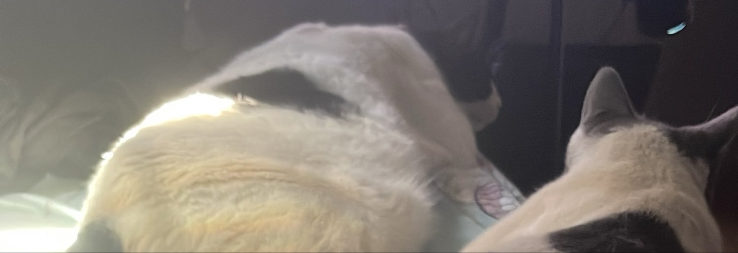 TalvezSejaMesmo's profile banner image