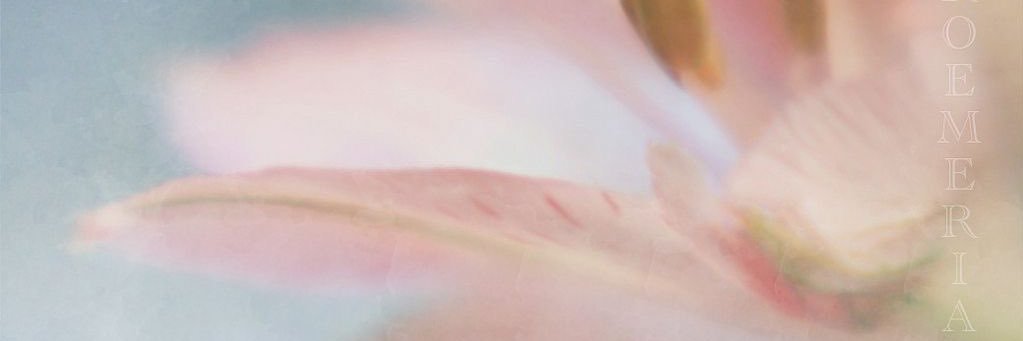 yuuwiish's profile banner image