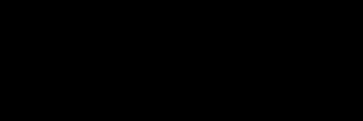 🐈‍⬛ banner