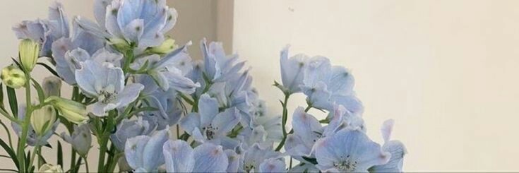 hi_highly24 banner