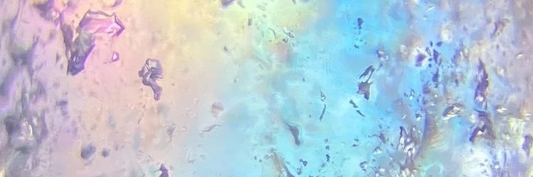 petit_bonheur52's profile banner image