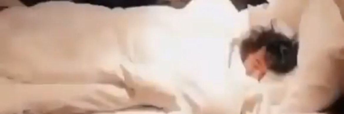 ️️ ️️ ️️ ️️ ️️ ️️ ️️ ️️ ️️ ️️ 𝒌𝒉𝒂𝒍𝒊𝒅 banner