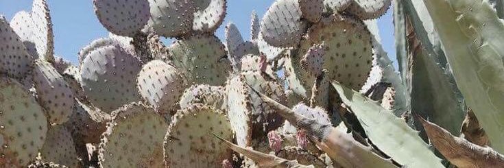 🗣️🗣️🗣️ banner