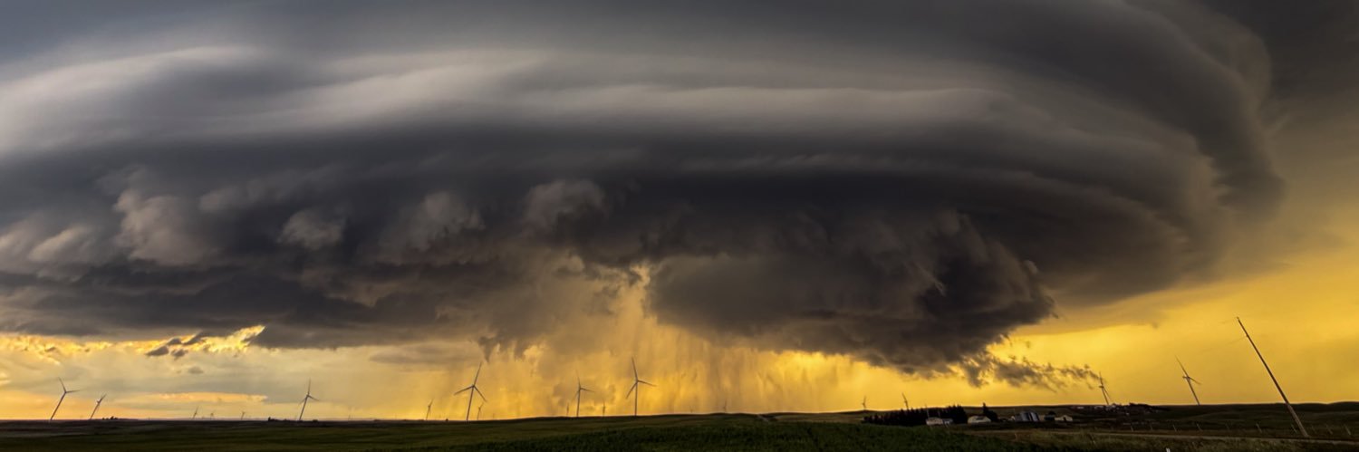 Jonathan Biemans banner