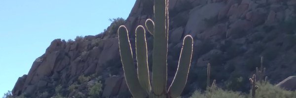 mar_447 Profile Banner