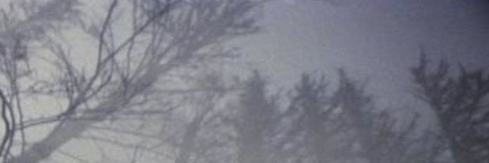 yogurtmoldz's profile banner image